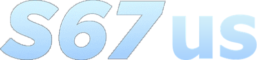 vns67us.com Logo
